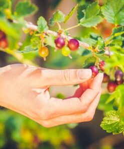 c716605b4ad8a6c51b4af43479d27eda