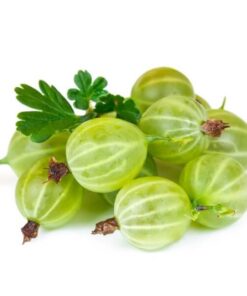 439f55515fdfdc27902e42620395e312