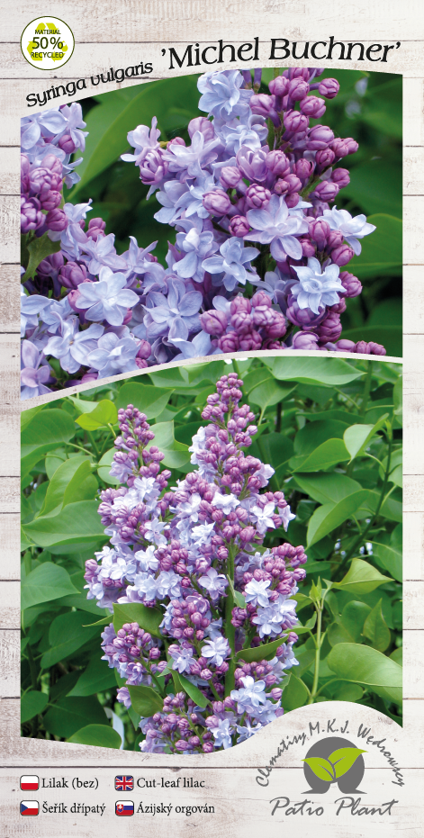 5d762326706a36d5133f87acfdeb17ac