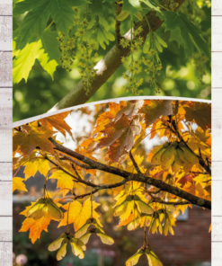 91686230ae63b1aeb8432e5d14a5ea65