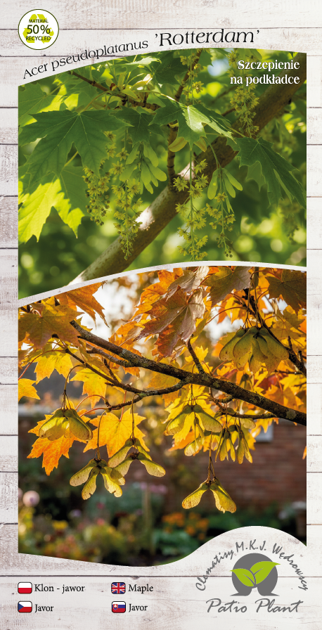 91686230ae63b1aeb8432e5d14a5ea65