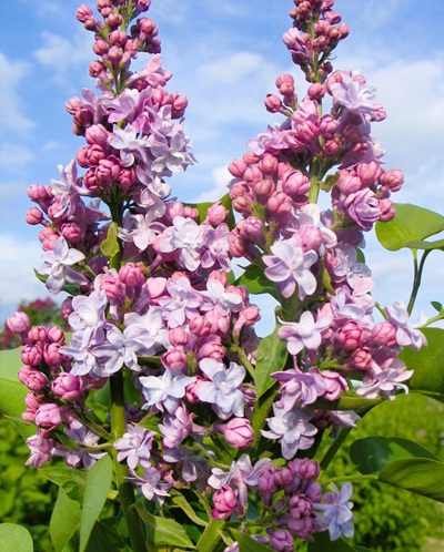 b4fe2e84a2e87576728d5f0ac939e247