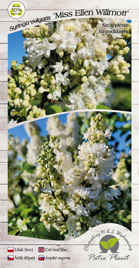 7dcda70c909013faa2b6a3978c1c5e5e