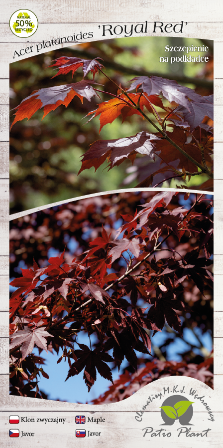 2d518a21323e13eb254a47a4a2349971