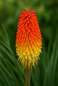 aabbc97d80866db3e5a0a20010e4a7f7