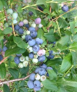 41f897d71354b8df69d868a22396e313