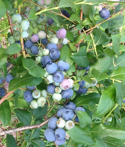 41f897d71354b8df69d868a22396e313