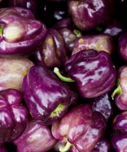 3ed01f1e5e947bf718f4c5e0f8be3e95