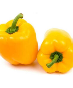 b14bd1ad8e18cd0e3793accec7799d68