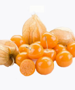 6c97b2202597f64ae9a4646471b8d0c5