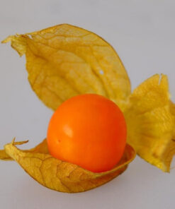 64509021cec44dbc481f470818376b89