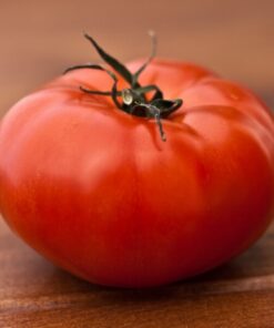 58987976b228161deb2d1f88d596795b