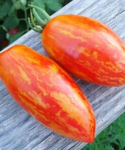 643507c0a18e34ddbd4ebf1db043d466