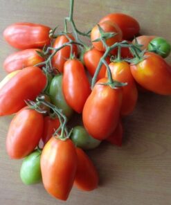 4df6e6d48bb4649ed44a596497f99dd8