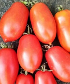 679eef4f38a3191f0e2552d9f5fafcca