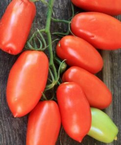 9abdb217fbdda050eaa4dc843bd1b95e