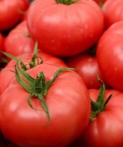 aab3d8d1629a74a3cfa2c30e4c083476