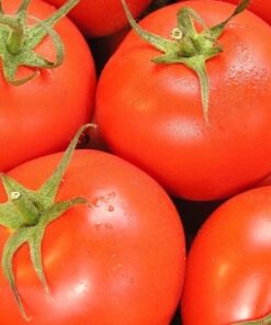 1e994a95a634edf99519b032eac5828b