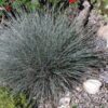954a55104ff8ee624bc5ff8f68febe1b